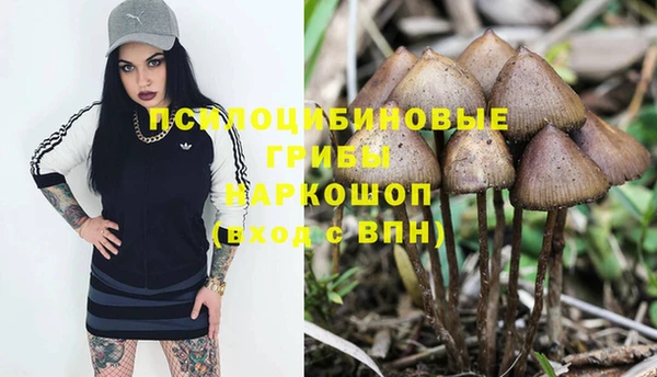мескалин Алексин
