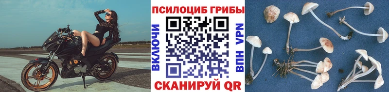 Галлюциногенные грибы GOLDEN TEACHER Орлов