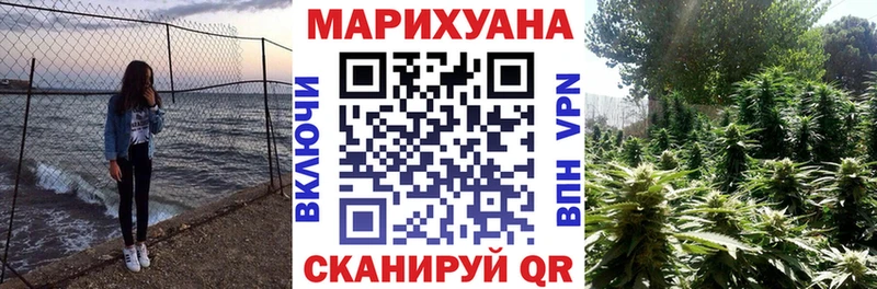 купить   Орлов  Каннабис SATIVA & INDICA 